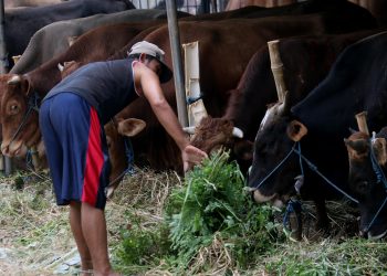 Imbauan Pemprov DKI untuk Warga Tidak Buang Limbah Qurban ke Saluran Got