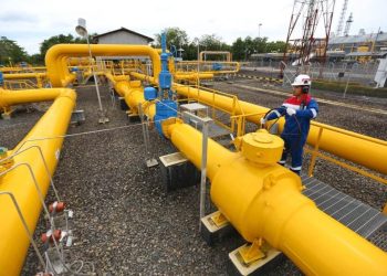 Dividen Rp4,42 Triliun PGN, Lo Kheng Hong Raup Keuntungan Besar
