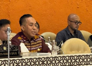 Roadmap Program Tiga Juta Rumah Menurut Mori Hanafi Masih Belum Jelas
