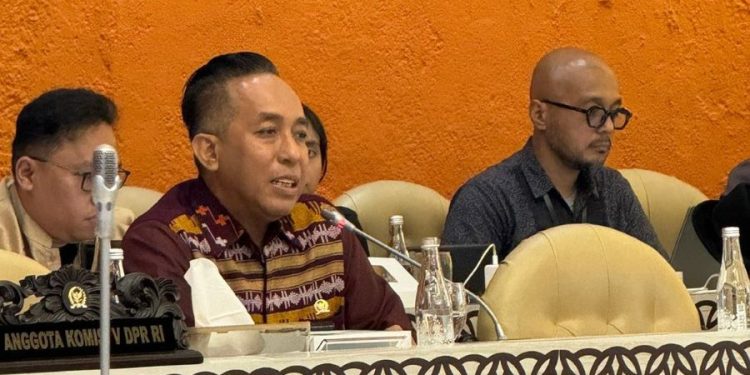 Roadmap Program Tiga Juta Rumah Menurut Mori Hanafi Masih Belum Jelas