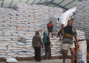 Krisis Komoditas Jepang, Mentan: Indonesia Kuat Menjaga Ketahanan Pangan