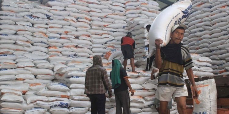 Krisis Komoditas Jepang, Mentan: Indonesia Kuat Menjaga Ketahanan Pangan