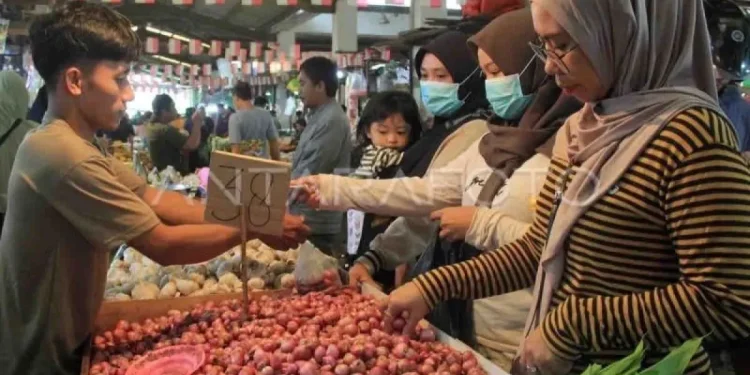 Harga Bawang Merah Mencapai Rp42.429 per Kg Menurut Bapanas