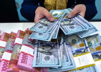 Cadangan Devisa RI Capai US1525 Miliar Mei 2025 dan BI Tetap Kuat