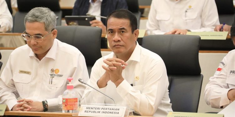 Amran Sulaiman Bicara Saat Masuk Radar Calon Ketua Umum PPP