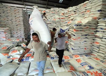 Harga Beras Naik, Pemerintah Siapkan 610 Ribu Ton untuk Stabilkan Pasar