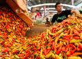 Harga Cabai Rawit Merah Menurut Bapanas Mencapai Rp48.457 per Kg