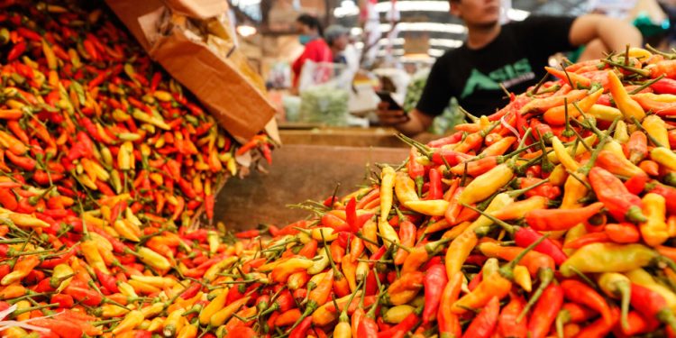 Harga Cabai Rawit Merah Menurut Bapanas Mencapai Rp48.457 per Kg