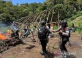 Gerebek 25 Hektare Ladang Ganja oleh Bareskrim Polri di Aceh
