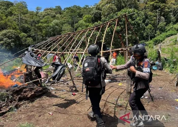 Gerebek 25 Hektare Ladang Ganja oleh Bareskrim Polri di Aceh