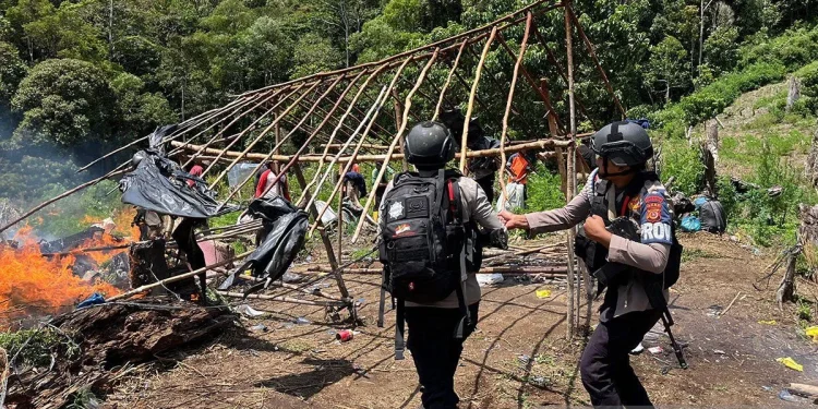 Gerebek 25 Hektare Ladang Ganja oleh Bareskrim Polri di Aceh