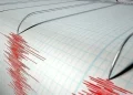 Gempa di Turki, Seorang Meninggal dan 69 Luka-luka