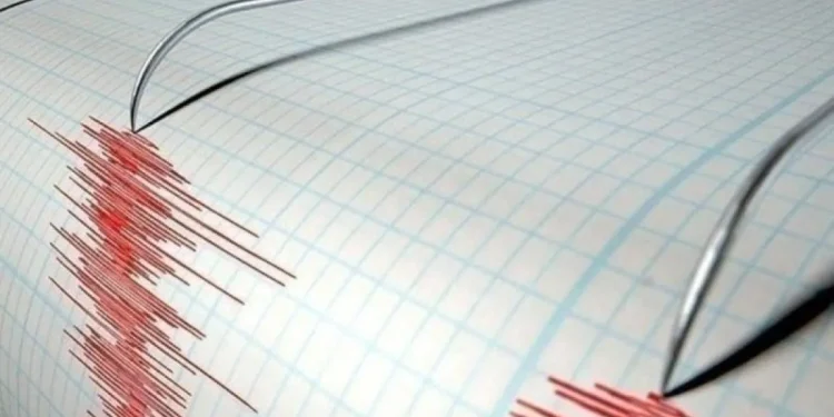 Gempa di Turki, Seorang Meninggal dan 69 Luka-luka