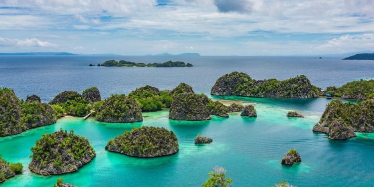 Izin Sejak 2017 di Era Jokowi, Tambang Nikel Ancam Ekosistem Raja Ampat