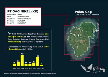 JATAM Tuduh Negara Penyebab Kerusakan Lingkungan di Raja Ampat