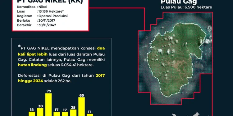 JATAM Tuduh Negara Penyebab Kerusakan Lingkungan di Raja Ampat