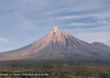 Erupsi Gunung Semeru Setinggi 700 Meter di Atas Puncak
