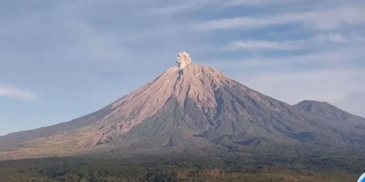Erupsi Gunung Semeru Setinggi 700 Meter di Atas Puncak