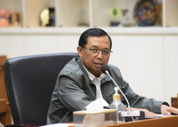 Joao Mota Mundur karena Kurangnya Dukungan, DPR Sebut Sangat Sibuk
