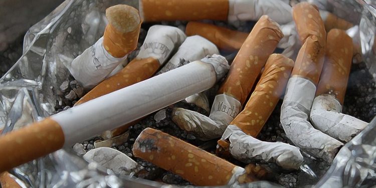 Rokok Ilegal sebagai Ancaman Tersembunyi untuk Ekonomi dan Generasi Muda