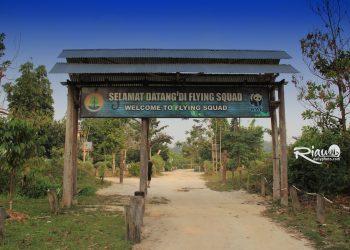 Pelanggaran HAM dalam Penggusuran Warga Tesso Nilo yang Perlu Diperhatikan