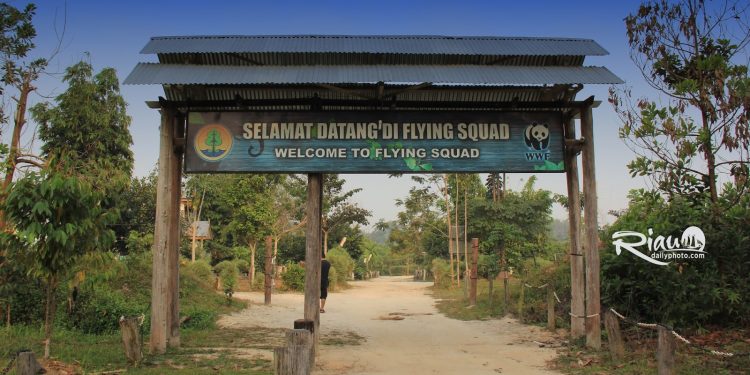 Pelanggaran HAM dalam Penggusuran Warga Tesso Nilo yang Perlu Diperhatikan