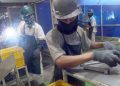 Perpanjangan Pendaftaran untuk Perusahaan Ikut Program Magang Nasional