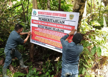 890 Perusahaan Sawit dan Tambang Tanpa Izin Kehutanan
