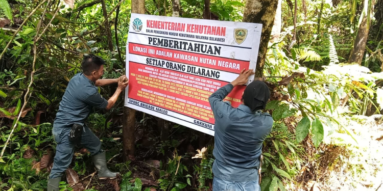 890 Perusahaan Sawit dan Tambang Tanpa Izin Kehutanan