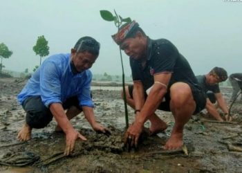Perjuangan Indonesia untuk Aturan Pasar Karbon yang Adil dan Inklusif di Dunia