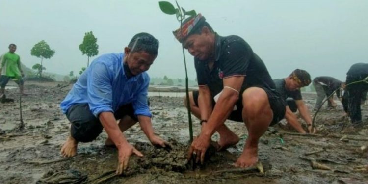 Perjuangan Indonesia untuk Aturan Pasar Karbon yang Adil dan Inklusif di Dunia