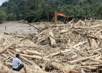 Tinjauan Tata Ruang Daerah Terdampak Banjir di Sumatera oleh KLH