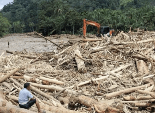 Tinjauan Tata Ruang Daerah Terdampak Banjir di Sumatera oleh KLH