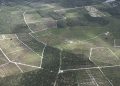 Hutan Menangis dan Optimisme Negara