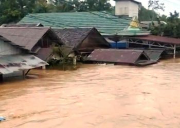 Banjir Bandang Kalsel, Lingkungan Minta Satgas PKH Tindak Tegas Perusahaan Tambang Ilegal