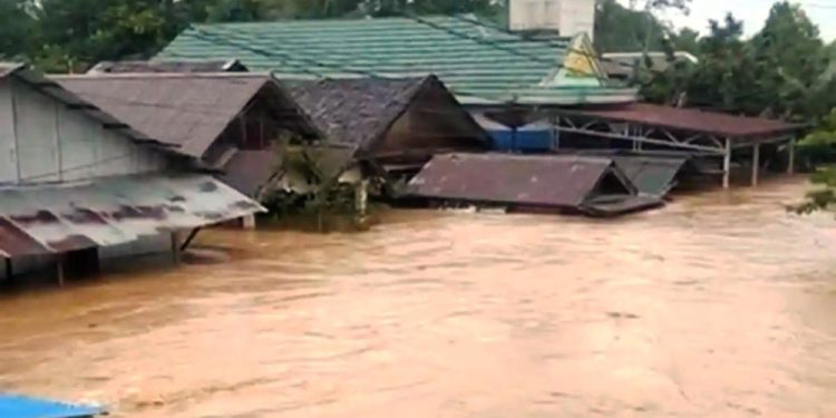 Banjir Bandang Kalsel, Lingkungan Minta Satgas PKH Tindak Tegas Perusahaan Tambang Ilegal