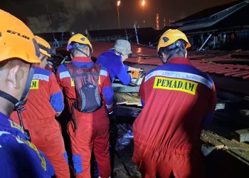 Cuaca Ekstrem dan Kebakaran Hutan Mengancam Kalimantan, Kewaspadaan Ditingkatkan