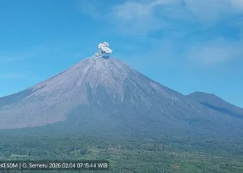 Gunung Semeru Erupsi Tujuh Kali dalam Tiga Jam dengan Tinggi Letusan 800 Meter