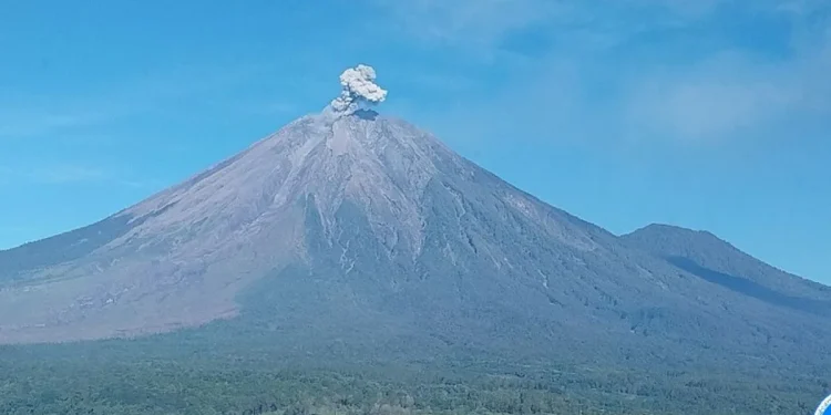 Gunung Semeru Erupsi Tujuh Kali dalam Tiga Jam dengan Tinggi Letusan 800 Meter