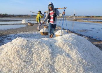 Garam Impor Rugikan Petani, DPR Mendesak Pemerintah Hentikan Impor
