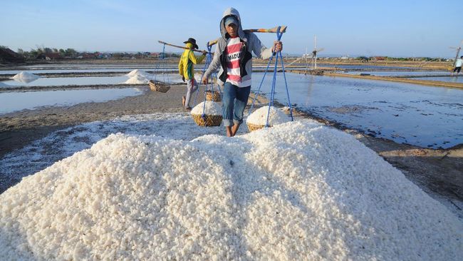 Garam Impor Rugikan Petani, DPR Mendesak Pemerintah Hentikan Impor